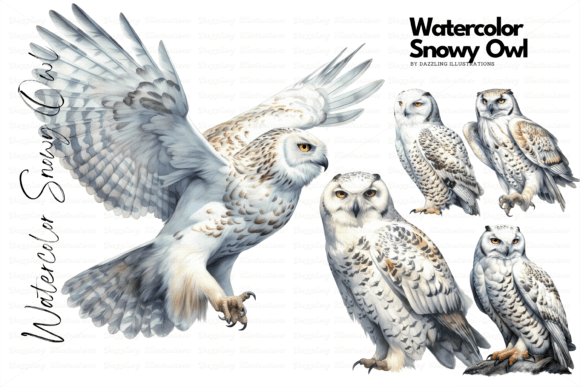 Download Watercolor Snowy Owl Set - Snowy Collection