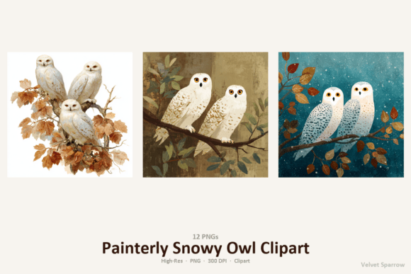 Download Painterly Snowy Owl Clipart - Snowy Collection