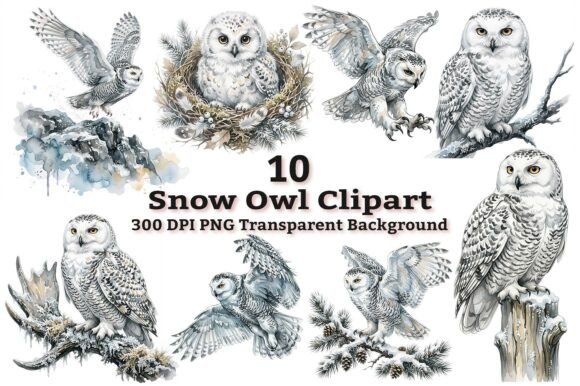Download Majestic Snowy Owl Clipart Bundle PNG - Snowy Collection
